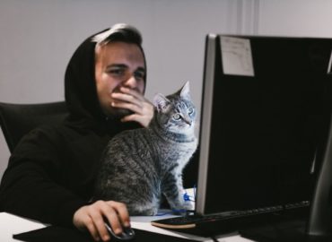 chat-lutter-stress-au-travail