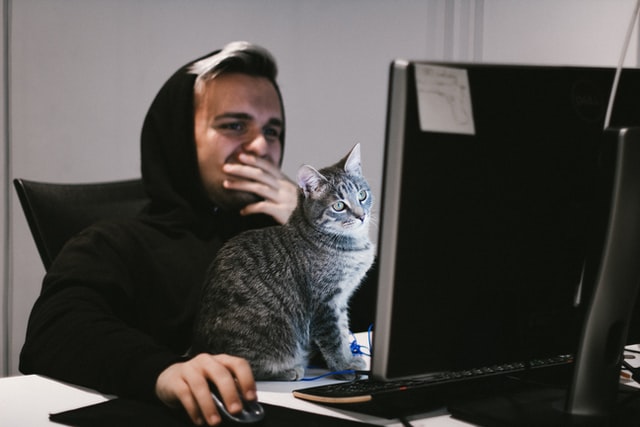 chat-lutter-stress-au-travail